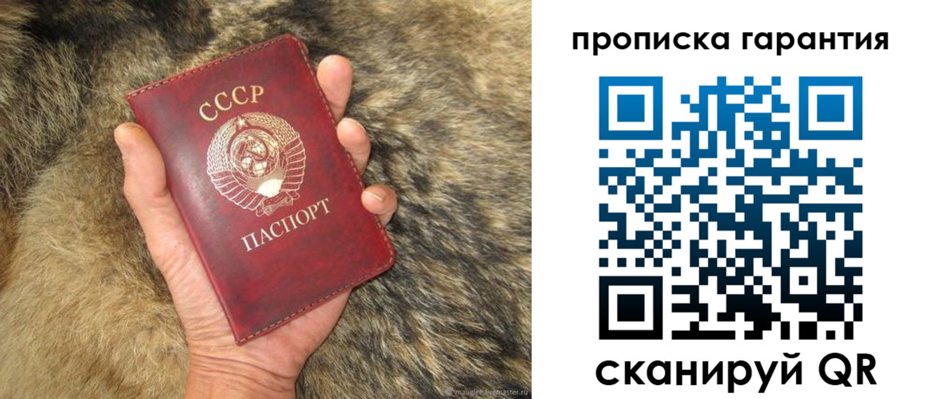временная регистрация гарантия в Ессентуках